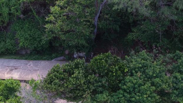 Aerial view of tropical forest path in Anse Reunion Seychelles.