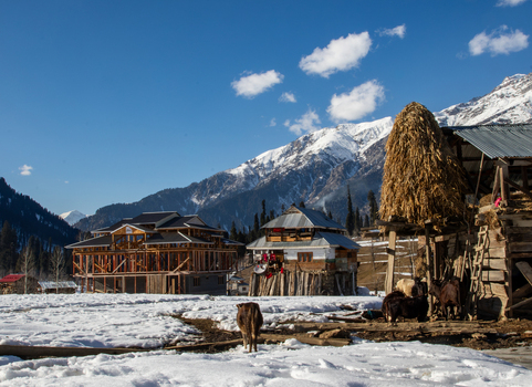 View of traditional wooden houses haystacks and livestock in a snowy mountain landscape in Arang Kel Kashmir Pakistan. View of traditional wooden houses haystacks and livestock in a snowy mountain landscape in Arang Kel Kashmir Pakistan.