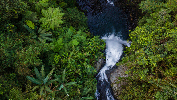 Aerial view of Gomblang Waterfall cascading into a dark pool surrounded by lush tropical ferns and dense green jungle in Kecamatan Kedungbanteng Jawa Tengah Indonesia. Aerial view of Gomblang Waterfall cascading into a dark pool surrounded by lush tropical ferns and dense green jungle in Kecamatan Kedungbanteng Jawa Tengah Indonesia.