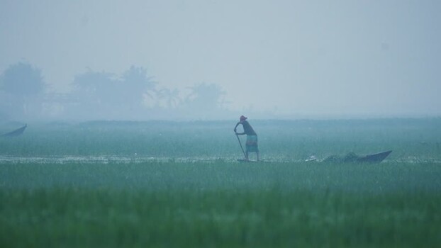 View of a boatman rowing through a misty marsh in Bangladesh.