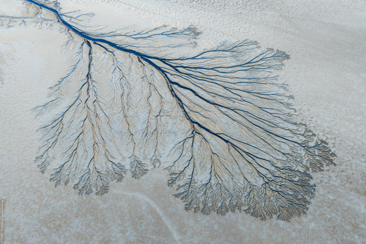 Aerial view of the Reserva de la Biosfera Alto Golfo de California y Delta del Rio Colorado with intricate dendritic water patterns in the sand Tijuana Baja California Mexico. Aerial view of the Reserva de la Biosfera Alto Golfo de California y Delta del Rio Colorado with intricate dendritic water patterns in the sand Tijuana Baja California Mexico.