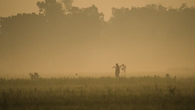 View of a farmer in a misty field at sunrise Bangladesh.