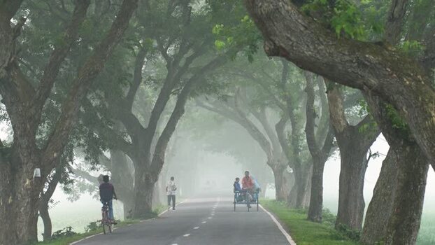 View of a misty tree lined road in Bogura Bangladesh. View of a misty tree lined road in Bogura Bangladesh.