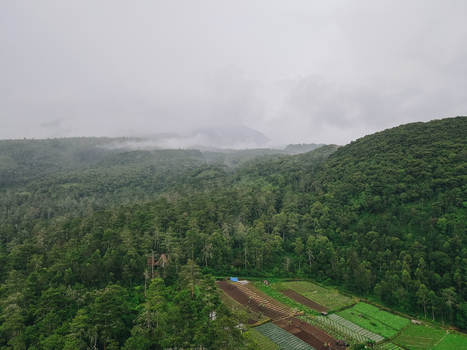 Aerial view of lush green forests and agricultural fields under misty mountains in Tawangmangu Central Java Indonesia.