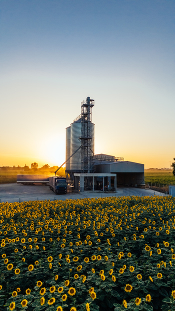Aerial view of grain silos and a truck in a sunflower field during sunset in Sremska Mitrovica Vojvodina Serbia.