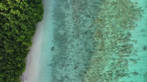 Aerial view of a tropical beach with coral reefs in Kamadhoo Maldives. Aerial view of a tropical beach with coral reefs in Kamadhoo Maldives.