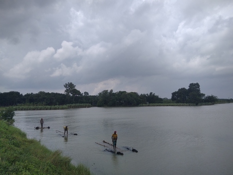 Kushtia Khulna Division Bangladesh 27 April 2020 View of men standing on bamboo rafts in a river under a cloudy sky. Kushtia Khulna Division Bangladesh 27 April 2020 View of men standing on bamboo rafts in a river under a cloudy sky.