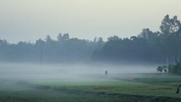 View of a person walking through misty fields Bangladesh.