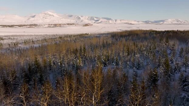 Aerial view of snowy forest and mountains in Snaefellsnes Iceland.