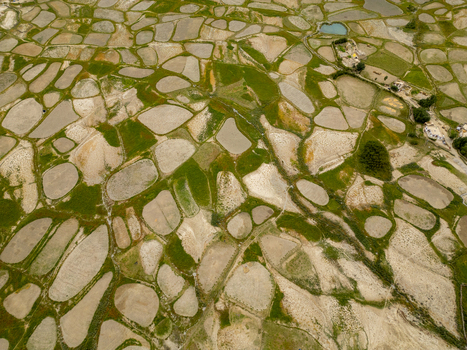 Aerial view of terraced agricultural fields in the Zanskar valley Zanskar Ladakh India.