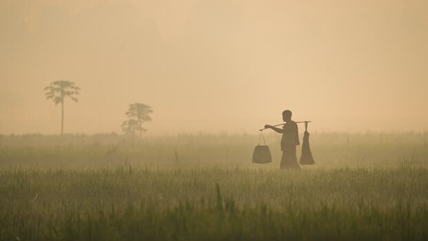 View of a farmer carrying a yoke in a misty field Bangladesh.