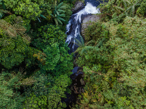 Aerial view of Gomblang Waterfall cascading through dense tropical jungle foliage and dark rocks in Kecamatan Kedungbanteng Jawa Tengah Indonesia. Aerial view of Gomblang Waterfall cascading through dense tropical jungle foliage and dark rocks in Kecamatan Kedungbanteng Jawa Tengah Indonesia.