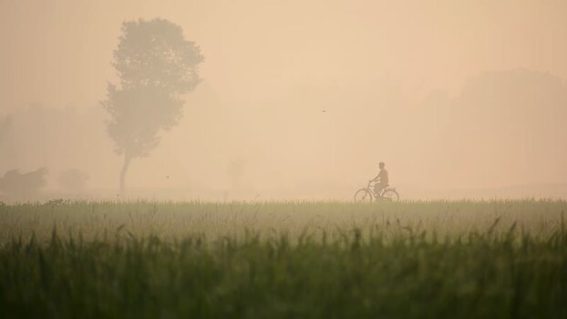 View of a person riding a bicycle through a misty field Bangladesh. View of a person riding a bicycle through a misty field Bangladesh.