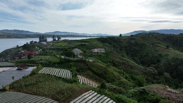 FPV aerial view of Alahan Panjang lake and hills Indonesia.
