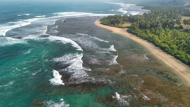 Aerial view of a tropical beach with turquoise waves crashing against the reef bordered by lush palm trees and golden sand in Indonesia. Aerial view of a tropical beach with turquoise waves crashing against the reef bordered by lush palm trees and golden sand in Indonesia.