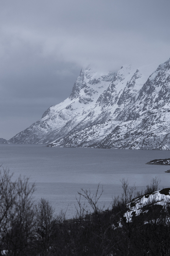 View of snow covered mountains rising above a calm fjord under a cloudy winter sky with bare trees in the foreground Kvaloya Troms Norway. View of snow covered mountains rising above a calm fjord under a cloudy winter sky with bare trees in the foreground Kvaloya Troms Norway.
