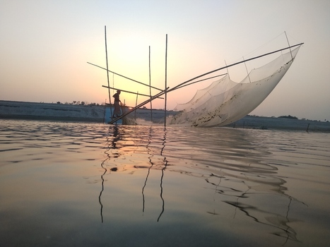 View of a fisherman operating a traditional lift net in the river at sunset with calm water reflections in Kushtia Khulna Division Bangladesh. View of a fisherman operating a traditional lift net in the river at sunset with calm water reflections in Kushtia Khulna Division Bangladesh.