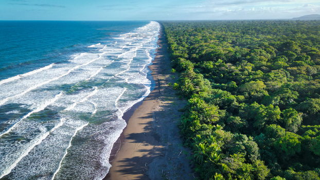 Aerial view of the contrasting blues of the ocean meeting the dark sands and the bright green forest Tortuguero Limón Province Costa Rica. Aerial view of the contrasting blues of the ocean meeting the dark sands and the bright green forest Tortuguero Limón Province Costa Rica.