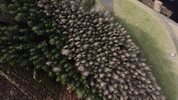 Aerial view of Whiteadder Reservoir forest United Kingdom. Aerial view of Whiteadder Reservoir forest United Kingdom.