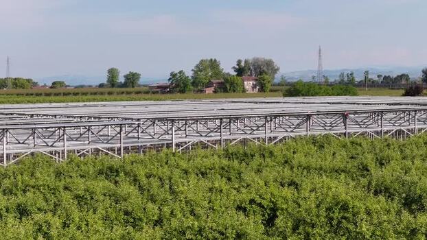 Aerial view of solar panels over orchard in Faenza Italy.