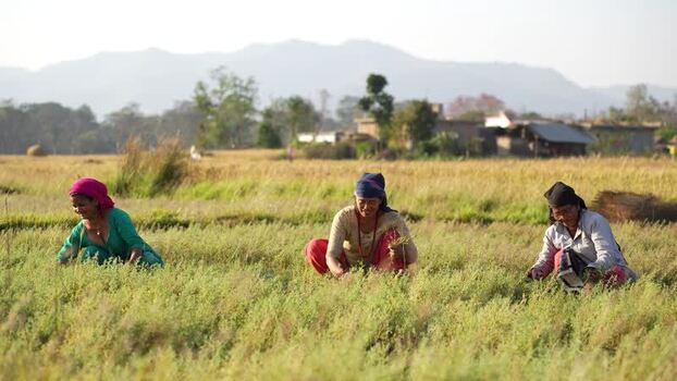 View of women working in a rural field with mountains Nepal.