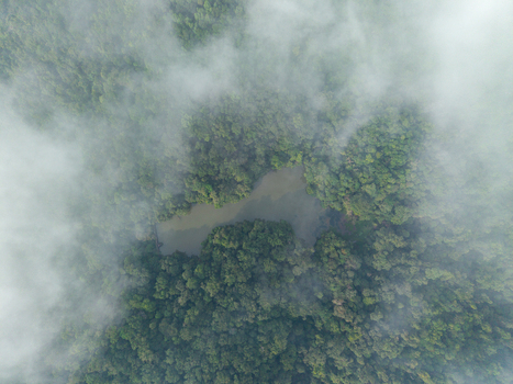 Aerial view of a dam in the forest surrounded by dense green trees and light mist Bukit Mertajam Penang Malaysia. Aerial view of a dam in the forest surrounded by dense green trees and light mist Bukit Mertajam Penang Malaysia.