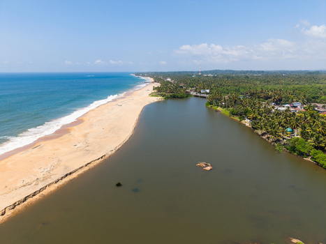Aerial view of the sandy coastline where a river meets the ocean surrounded by lush palm trees and a coastal road in Galle Southern Province Sri Lanka.