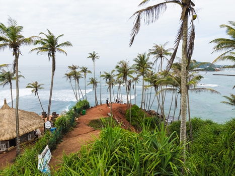 Aerial view of Coconut Tree Hill with tall palm trees and people on the reddish soil headland overlooking the Indian Ocean in Mirissa Southern Province Sri Lanka. Aerial view of Coconut Tree Hill with tall palm trees and people on the reddish soil headland overlooking the Indian Ocean in Mirissa Southern Province Sri Lanka.