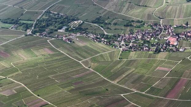 Aerial view of vineyards and the town of Ribeauville France. Aerial view of vineyards and the town of Ribeauville France.