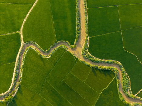 Aerial view of Lak Lake winding through vibrant green rice paddies with narrow dirt paths and lush vegetation in Lien Son Dak Lak Vietnam. Aerial view of Lak Lake winding through vibrant green rice paddies with narrow dirt paths and lush vegetation in Lien Son Dak Lak Vietnam.