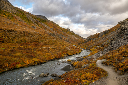 View of Denali National Park and Preserve with a river flowing through a valley surrounded by rocky slopes and vibrant autumn foliage in Alaska United States. View of Denali National Park and Preserve with a river flowing through a valley surrounded by rocky slopes and vibrant autumn foliage in Alaska United States.