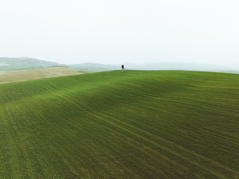 View of tranquil rolling hills and trees in a serene countryside landscape Pienza Italy.