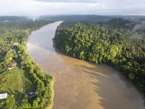 Aerial view of the Kinabatangan River winding through the dense tropical rainforest of Sukau with morning mist Kinabatangan Sabah Malaysia. Aerial view of the Kinabatangan River winding through the dense tropical rainforest of Sukau with morning mist Kinabatangan Sabah Malaysia.
