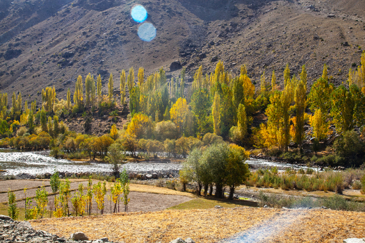 View of the autumn foliage in Astore Valley with yellow poplar trees along the riverbank and rugged mountain slopes in Astore Gilgit Pakistan. View of the autumn foliage in Astore Valley with yellow poplar trees along the riverbank and rugged mountain slopes in Astore Gilgit Pakistan.