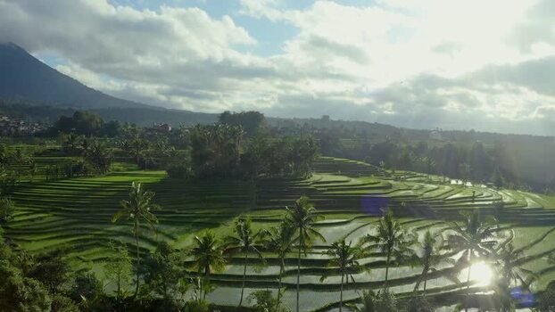 Aerial view of Jatiluwih rice terraces and mountains Indonesia.