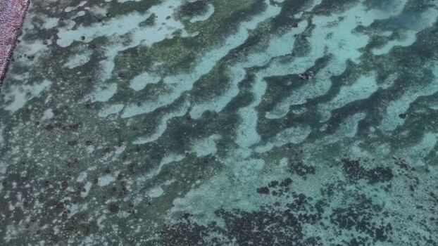 Aerial view of Curieuse coral reef in Baie Sainte Anne Seychelles.