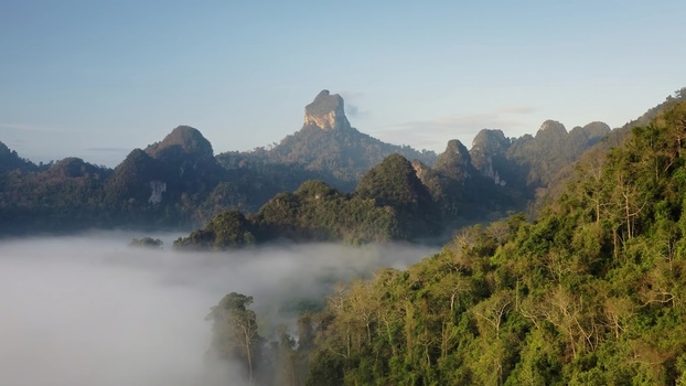 Aerial view of the limestone karst mountains of Khao Sok National Park rising above a thick layer of morning mist in the lush tropical rainforest of Surat Thani Surat Thani Thailand. Aerial view of the limestone karst mountains of Khao Sok National Park rising above a thick layer of morning mist in the lush tropical rainforest of Surat Thani Surat Thani Thailand.
