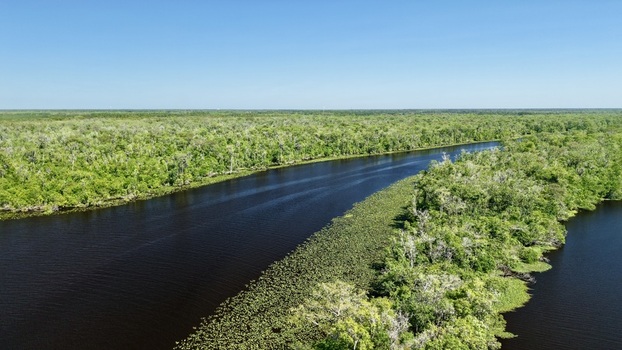 Aerial view of Sixmile Creek winding through dense green forest and lush wetlands under a clear blue sky in St. Johns County Florida United States.