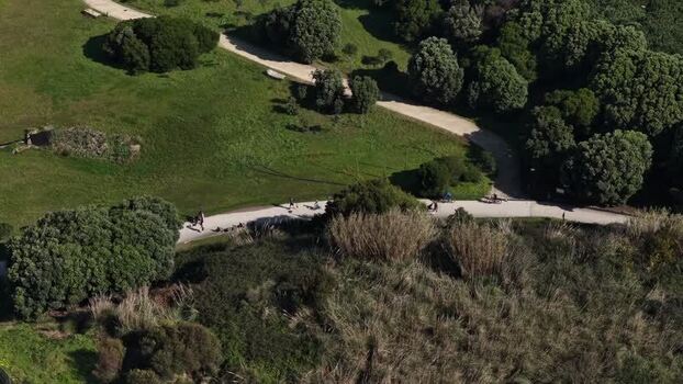 Aerial view of lush green park trails Portugal.