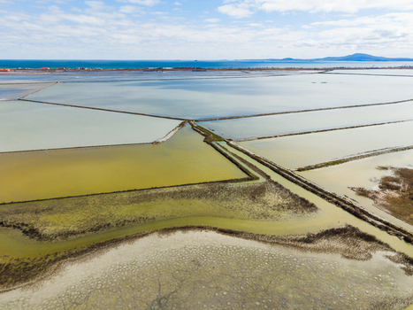 Aerial view of the geometric salt pans of Lake Atanasovsko with colorful evaporation ponds and narrow dikes near the Black Sea coast in Burgas Burgas Bulgaria. Aerial view of the geometric salt pans of Lake Atanasovsko with colorful evaporation ponds and narrow dikes near the Black Sea coast in Burgas Burgas Bulgaria.