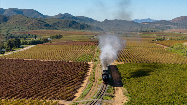 Aerial view of a vintage steam train emitting white smoke as it travels through lush vineyards and rolling hills under a clear sky in Robertson Western Cape South Africa.