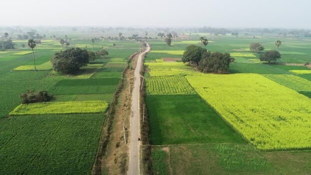 Aerial view of a road through green agricultural fields India. Aerial view of a road through green agricultural fields India.