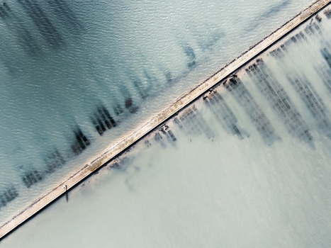 Aerial view of oyster beds divided by a narrow causeway creating contrasting textures and tones in the water Fort Louvois Nouvelle Aquitaine France. Aerial view of oyster beds divided by a narrow causeway creating contrasting textures and tones in the water Fort Louvois Nouvelle Aquitaine France.