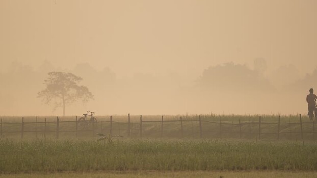 View of a person with a bicycle in a misty rural field Bangladesh.