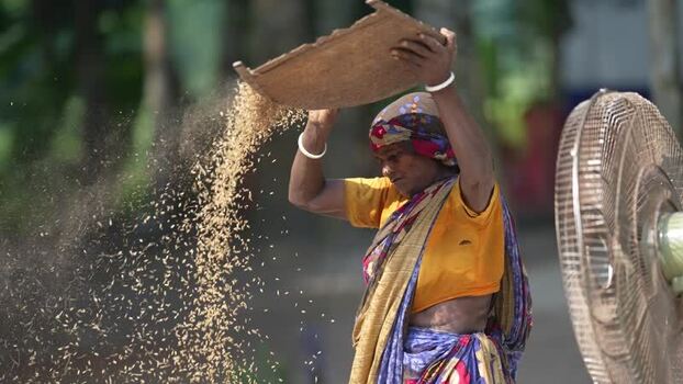 View of a woman winnowing grain with an electric fan Bangladesh. View of a woman winnowing grain with an electric fan Bangladesh.