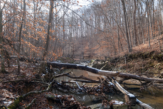 AAB_A456018 AAB_A456018