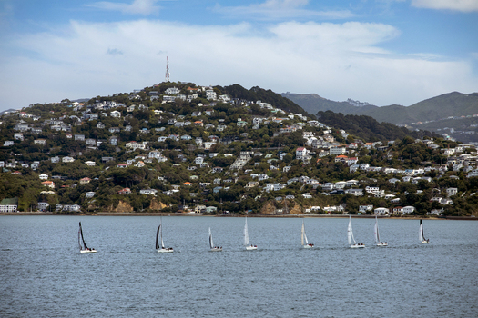 View of sailboats sailing in a line across the harbor with the residential hillside of Mount Victoria under a blue sky in Wellington Wellington Region New Zealand.