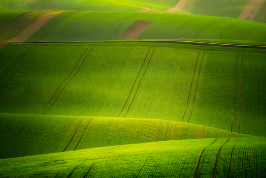 View of rolling green hills and agricultural fields with furrows in the Moravia region Brno City District South Moravian Region Czechia.