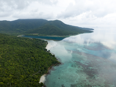 Aerial view of the lush green coastline meeting the turquoise waters under a cloudy sky reflecting the horizon Karimunjawa Central Java Indonesia.