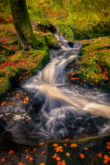 View of a small waterfall flowing over mossy rocks under a stone arch bridge in an autumn forest Manor Kilbride County Wicklow Ireland. View of a small waterfall flowing over mossy rocks under a stone arch bridge in an autumn forest Manor Kilbride County Wicklow Ireland.
